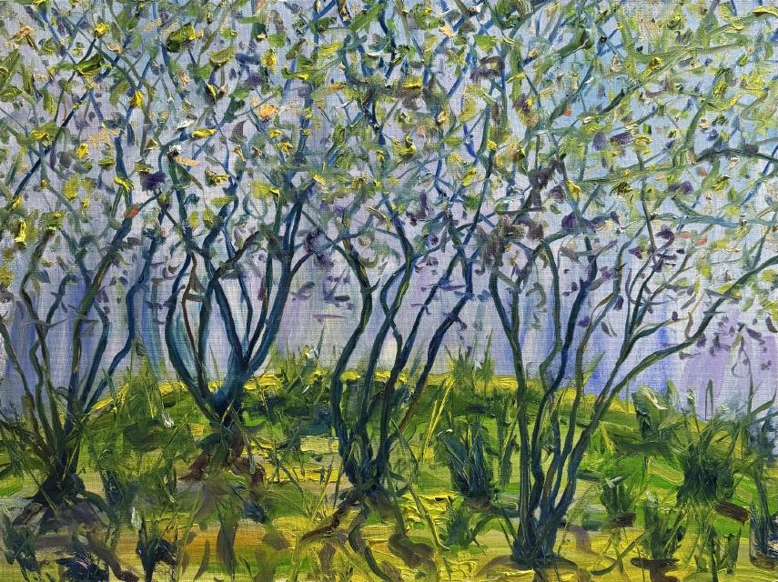 Painting of Serviceberries